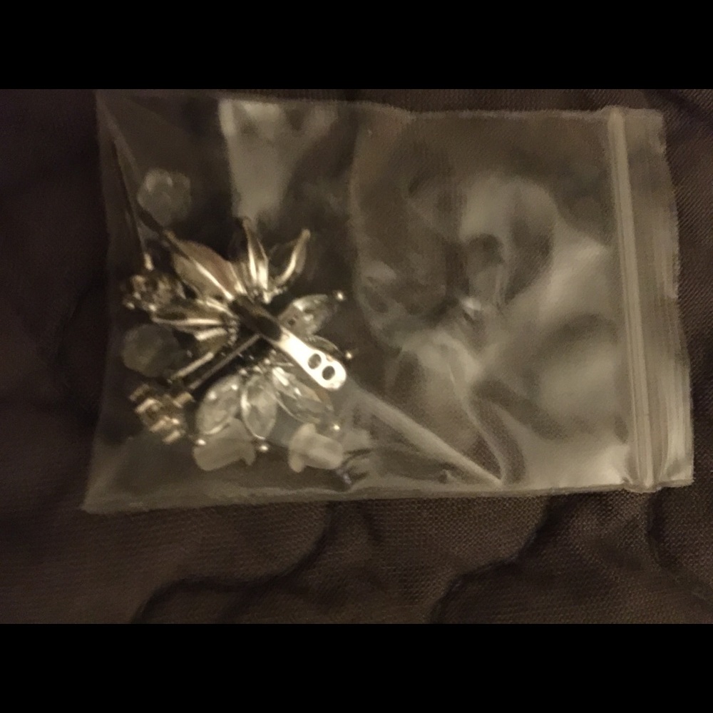 Rhinestone fan earrings
